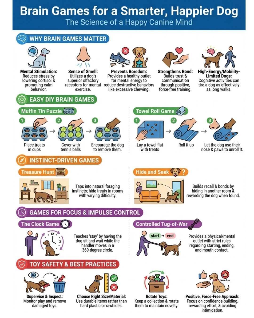 Brain Games for a Smarter, Happier Dog