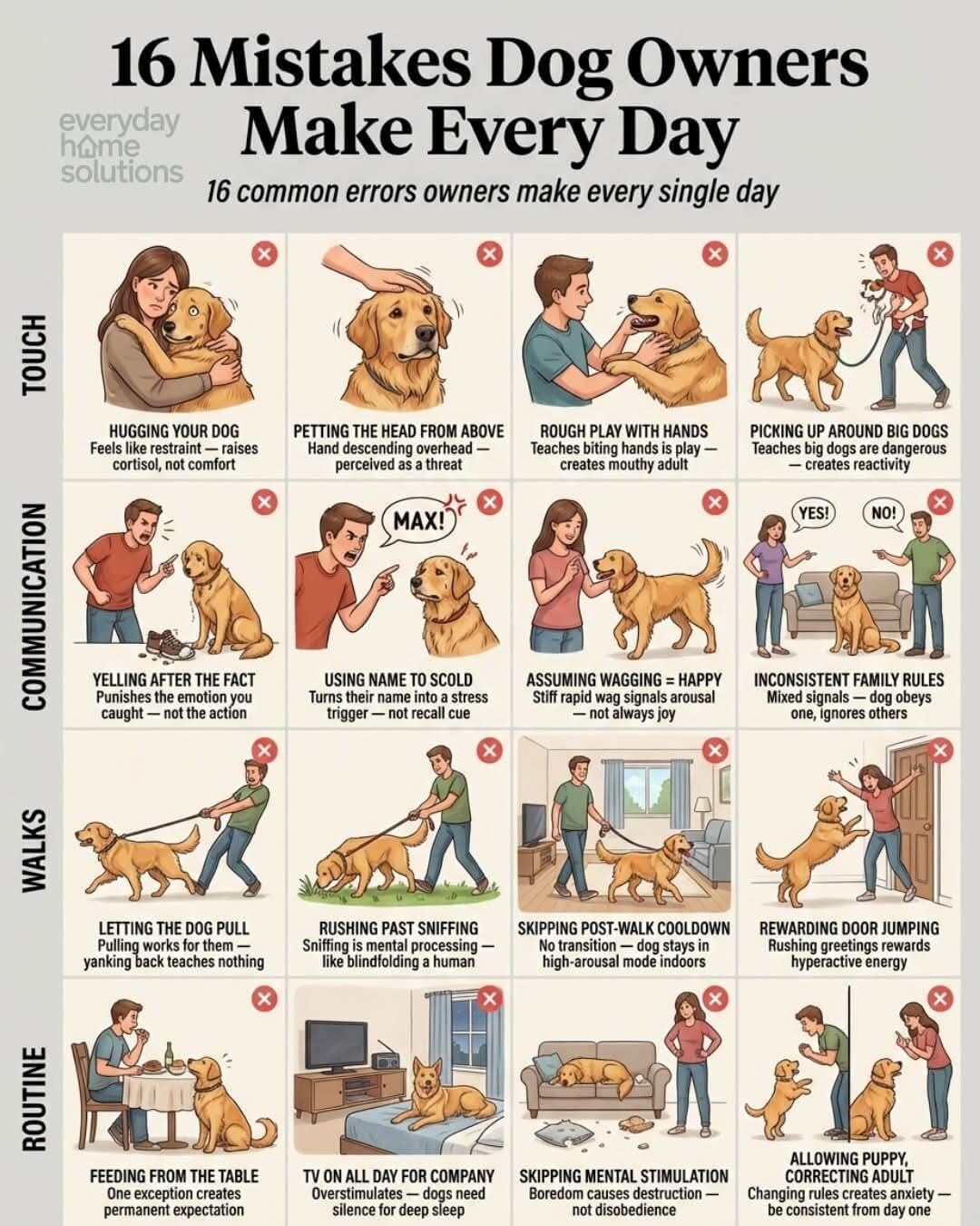 16 Mistakes Dog Owners Make Every Day
